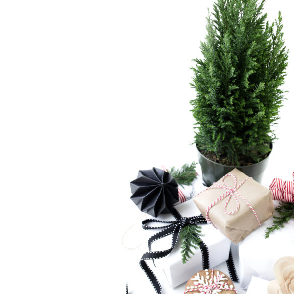 Holiday Guide & Blog Post